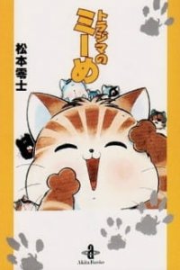  Полосатая кошка Мий (1999) 