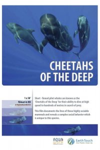  Дельфины – гепарды морских глубин (2014) 