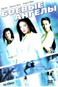  Боевые ангелы (2002) 