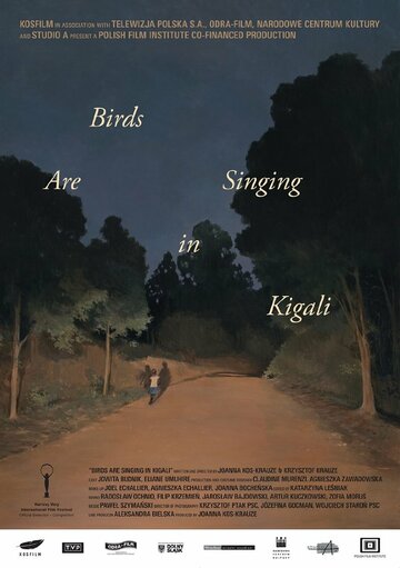 Птицы поют в Кигали / Ptaki spiewaja w Kigali / 2017