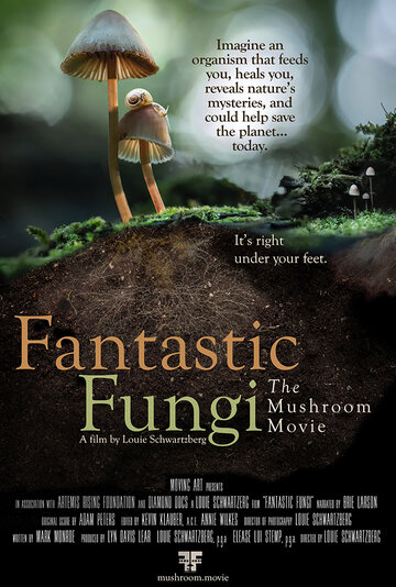 Фантастические грибы / Fantastic Fungi / 2019