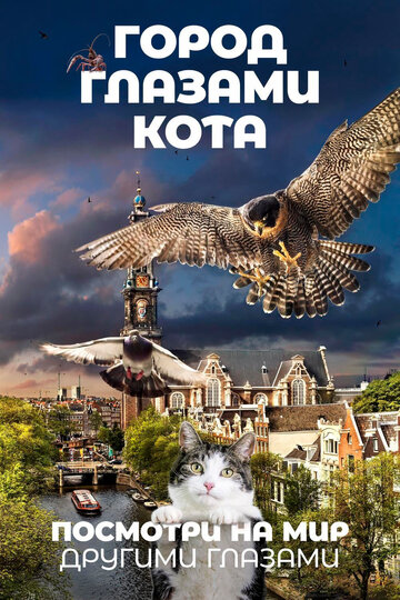 Город глазами кота / Wild Amsterdam / 2018