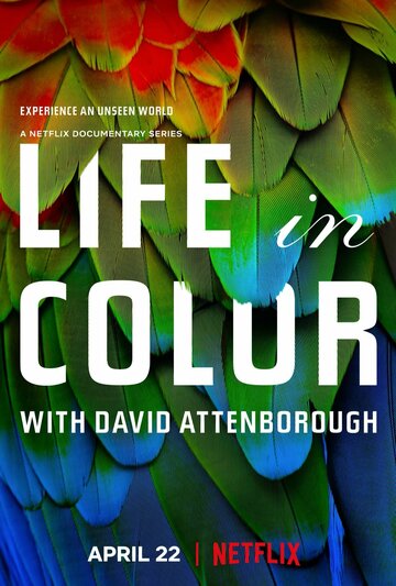 Жизнь в цвете с Дэвидом Аттенборо / Life in Colour / 2021