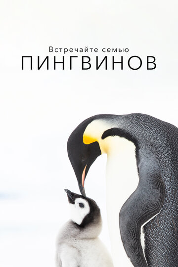 Встречайте семью пингвинов / Penguins: Meet the Family / 2020