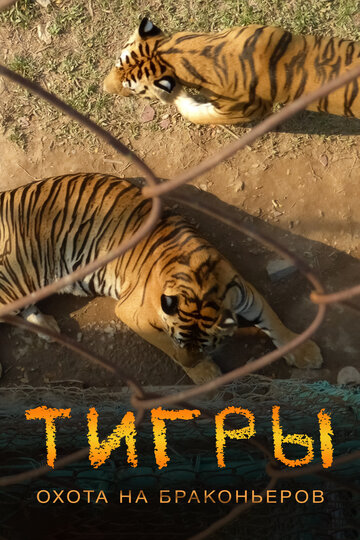 Тигры: Охота на браконьеров / Tigers: Hunting the Traffickers / 2020