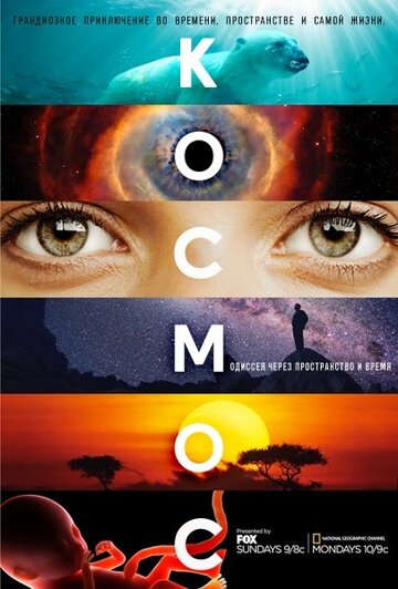 Космос: Пространство и время / Cosmos: A Spacetime Odyssey / 2014