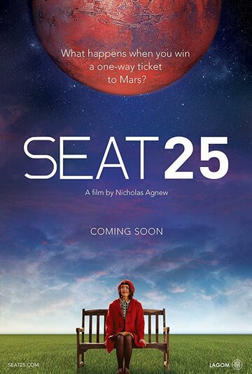 25-й пассажир / Seat 25 / 2017