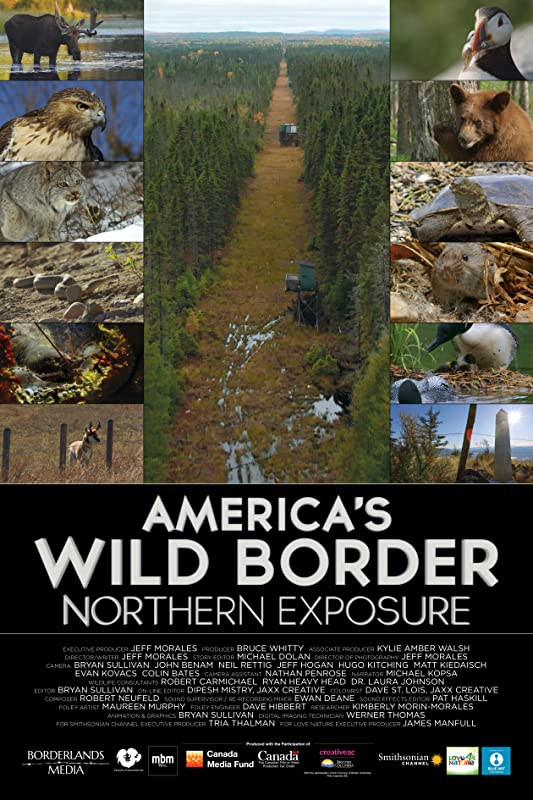 Дикая граница Америки: северные просторы / America's Wild Borders / 2020