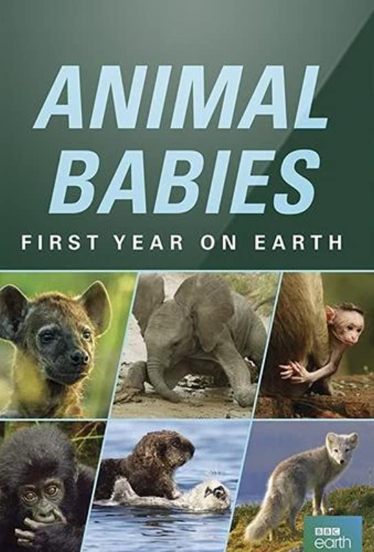 Малыши в дикой природе первый год на земле / Animal Babies: First Year on Earth / 2019