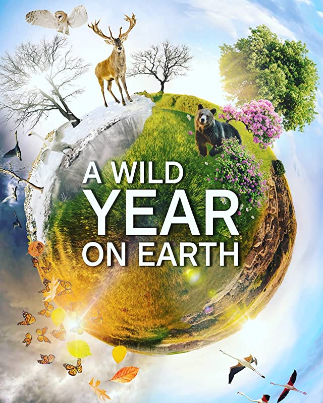Дикий год на Земле / A Wild Year on Earth / 2020
