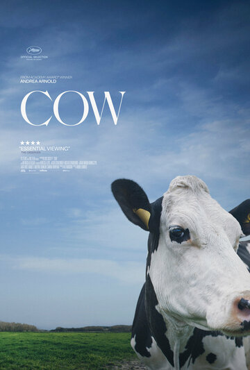 Корова / Cow / 2021