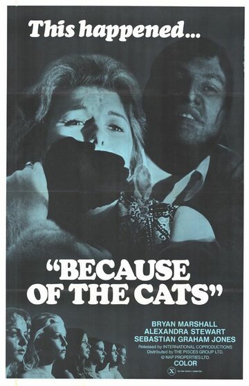 Из-за кошек / Because of the Cats / 1973