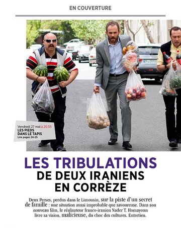 Приключения иранцев во Франции / Les pieds dans le tapis / 2016